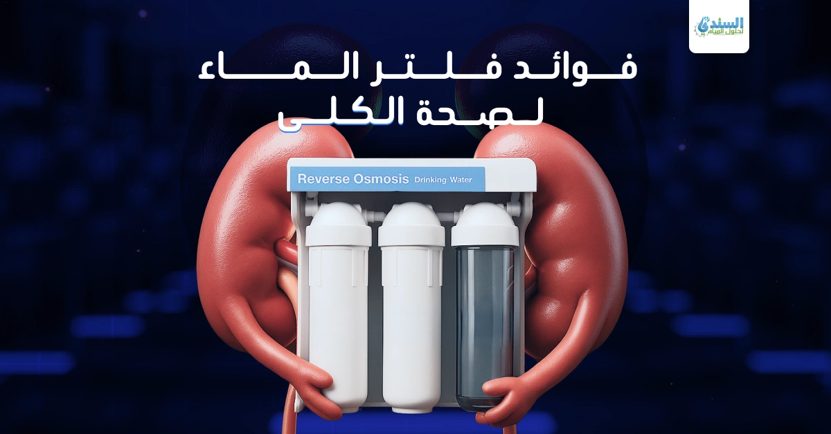 فوائد فلتر الماء لصحة الكلى
